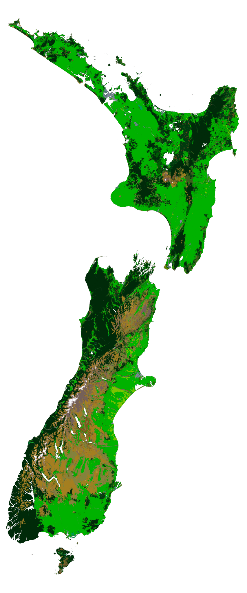 Land cover polygons